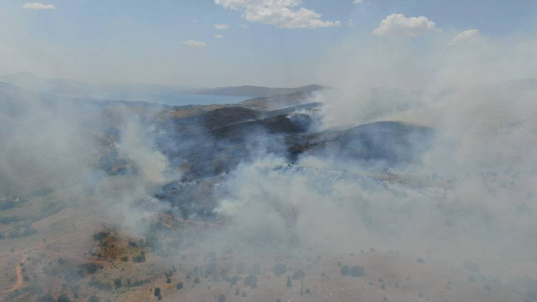 Elazığ'da orman yangını - Resim: 7